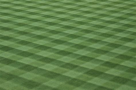 Baseball Field Grass Turf Free Stock Photo - Public Domain Pictures