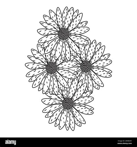 daisy flower daisies outline vector design in detailed line art coloring page Stock Vector Image ...