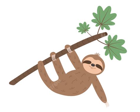 Funny Sloth Vector Art PNG, Funny Sloth Hanging On Tree Branch, Branch, Rainforest, Paw PNG ...