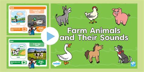 Farm Animals and Their Sounds PowerPoint