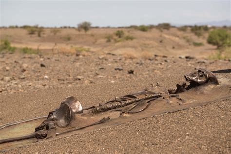 Archeology | TURKANA