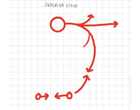 superior view thoracic arteries Quiz