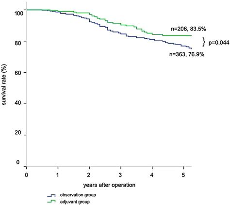 Survival curves according to adjuvant chemotherapy. The 5-year survival... | Download Scientific ...