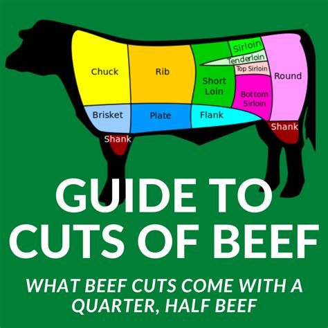 cuts-of-beef-what-comes-with-quarter-beef-half-beef-side-beef-half-a-cow - Clover Meadows Beef