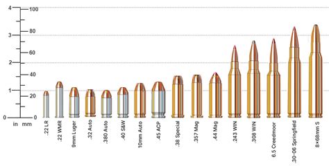 Ammo Caliber Size Chart Sportsman's Warehouse, 59% OFF