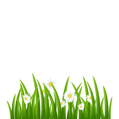 Green Grass Border, Vector Illustration. Grass vector illustration. 21975063 Vector Art at Vecteezy