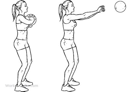 Medicine Ball Chest Pass | Illustrated Exercise guide - WorkoutLabs