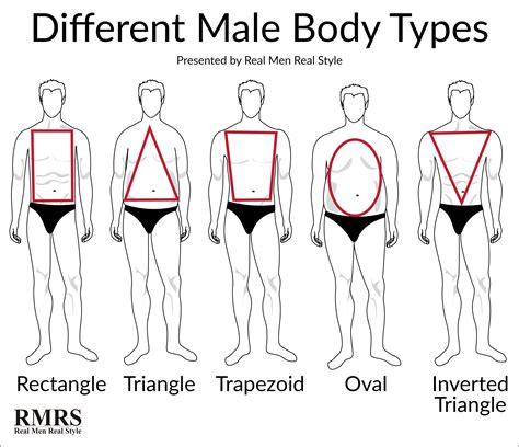 Types of Body Shapes Male