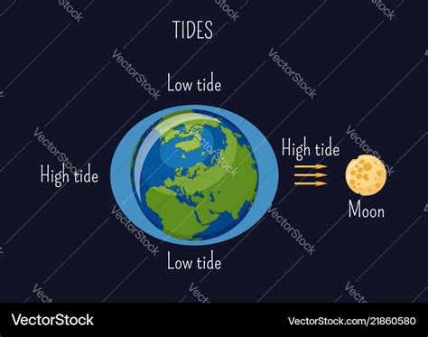 Low and high lunar tides diagram effect of moon Vector Image