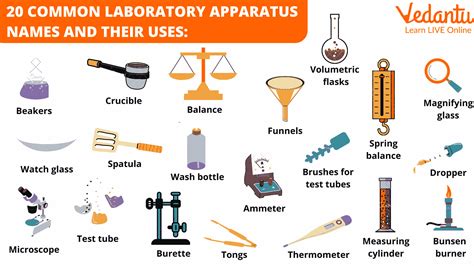 Biology Lab Equipment Worksheet