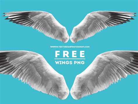 Open Wings PNG Free Image (Isolated-Objects) | Textures for Photoshop