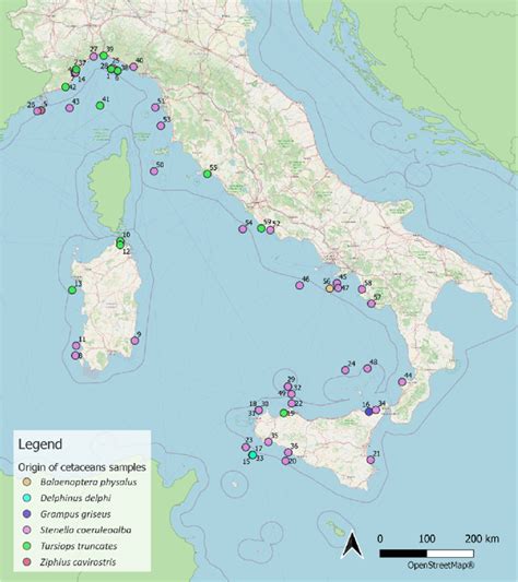 Map of stranding sites. | Download Scientific Diagram