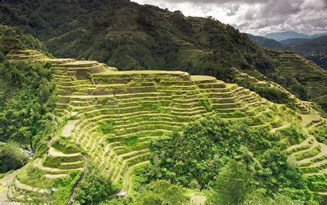 Banaue Rice Terraces | | Alluring World