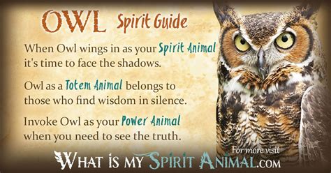 Owl Spirit, Totem, & Power Animal Symbolism and Meaning - What Is My Spirit Animal | Spirit ...