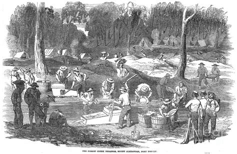 Australian Gold Rush, 1851 Photograph by Granger - Pixels