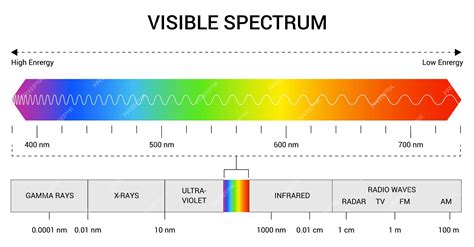 Premium Vector | Spectrum wavelength Visible spectrum color range Educational physics light line ...