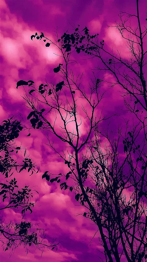 Discover 78+ pink and purple aesthetic wallpaper best - in.coedo.com.vn