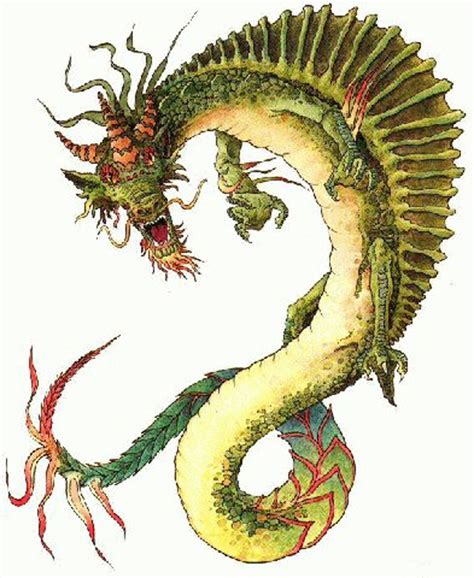 Gallery For > Chinese Dragon