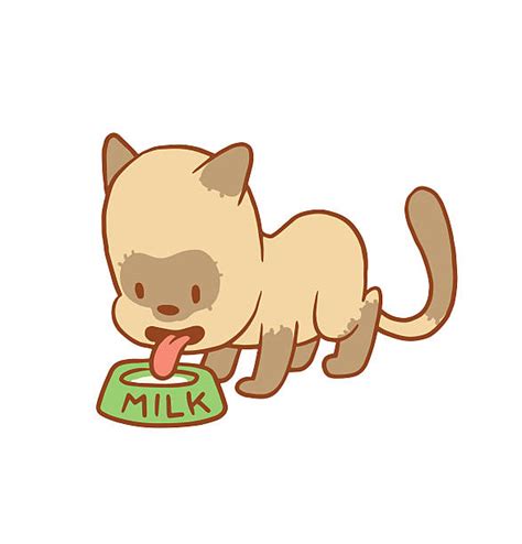 Best Cat Drinking Milk Illustrations, Royalty-Free Vector Graphics ...