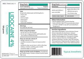 LIDOCAINE OTC Brands - Drugs.com