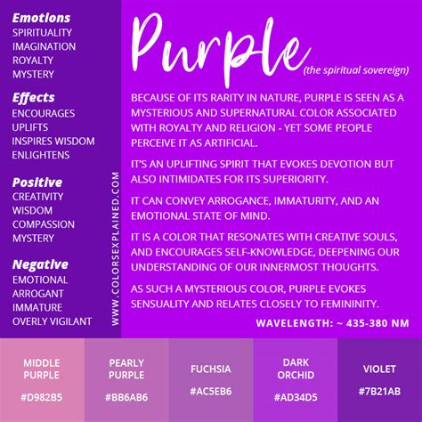 Meaning of the Color Purple And Its Symbolism (2024) • Colors Explained