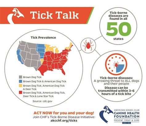 How To Remove A Deer Tick From A Dog - Costa Somper