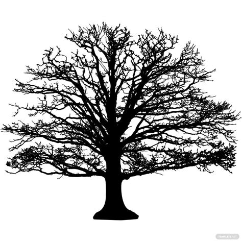 Leafless Oak Tree Silhouette in PSD, Illustrator, SVG, JPG, EPS, PNG - Download | Template.net