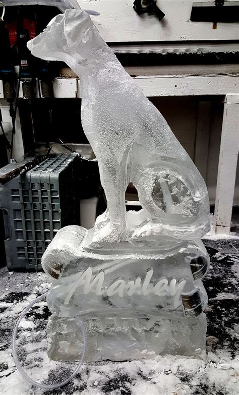 137 best Ice Sculptures - Animals images on Pinterest | Ice sculptures, Peacock and Peacock bird