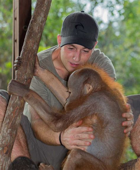 Orphaned wild baby orangutans | Long Beach Animal Hospital