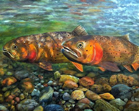 Cutthroat Trout Painting by Kathy Pipo-Jeffers