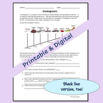 Cladogram Worksheet by The Biology Bar | TPT