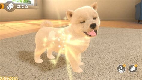 Switch Is Getting A Nintendogs-Style Game Called Little Friends: Dogs & Cats | Nintendo Life