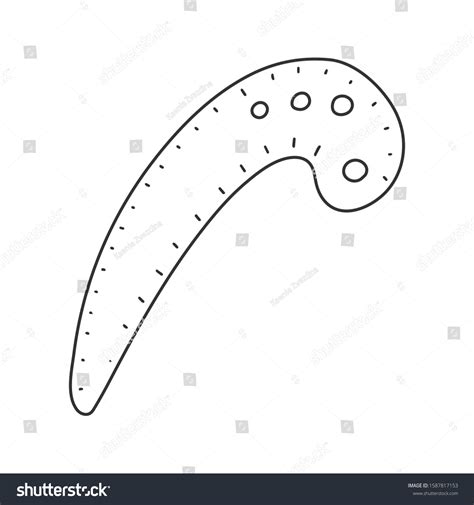 French Curve Ruler Vector Illustration Simple Stock Vector (Royalty Free) 1587817153 | Shutterstock