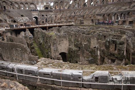 Inside the Coliseum Photograph by Roy Hale - Fine Art America