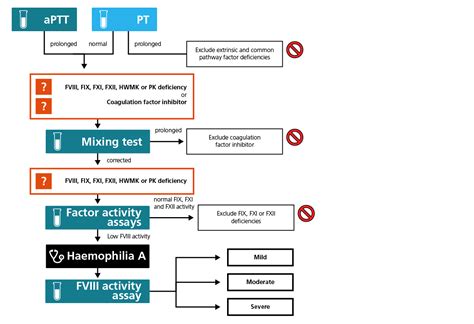 Cool Info About How To Diagnose Haemophilia - Storyhigh