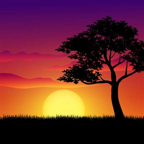 Details 100 sunset nature background - Abzlocal.mx