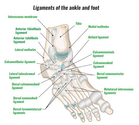 Midtarsal Joint Sprain - Symtpoms, Causes and Treatment