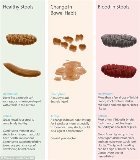 poop stool color changes color chart and meaning healthy concept stock - pin on health and ...