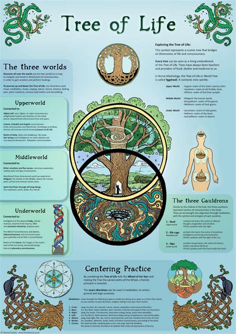 Tree of Life, Ecofriendly A3 Print, Wall Art Poster, Infographic, Correspondence Chart, Celtic ...