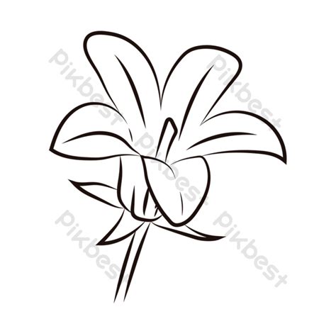 Black And White Line Small Lily Flower Flower Clipart Black And White ...