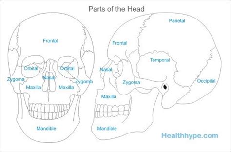 Head Pain Causes | Healthhype.com