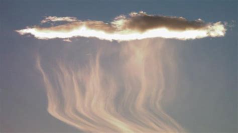 Jellyfish Clouds: Underwater Majesty in the Sky | The Weather Channel