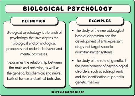 10 Biological Psychology Examples (2024)