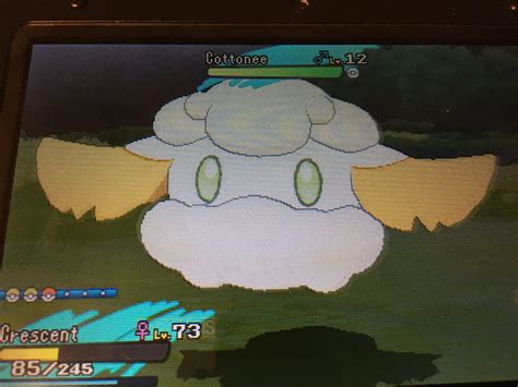 [gen 7] Shiny Cottonee after exactly 255 SOS calls! : r/ShinyPokemon