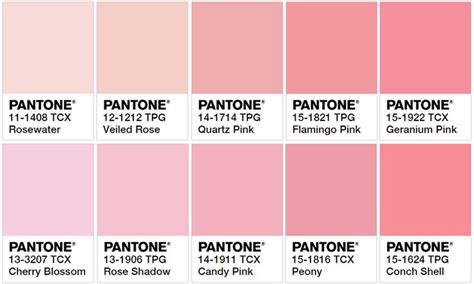 50 Shades of Pink: A Pantone Book Cover Edition