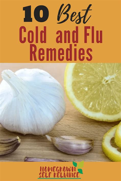 10 Best Remedies for Cold and Flu - Homegrown Self Reliance