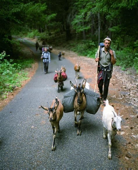 Modern nomads formed a tribe to live a traditional Native American ...