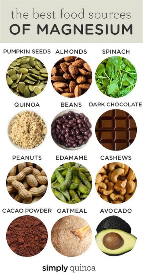 12 Excellent Food Sources of Magnesium [Plant-Based] | Magnesium Rich Foods | Top Healthy Foods ...