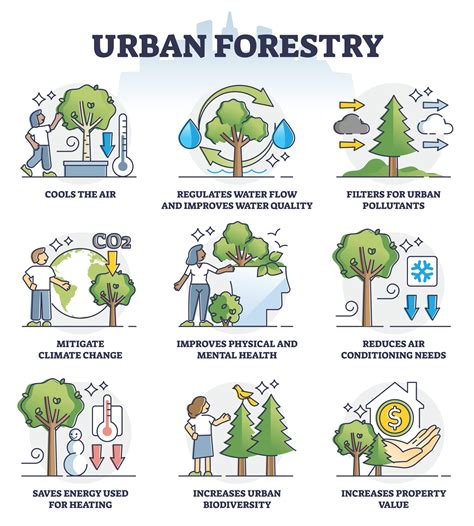 The Benefits of Trees | City of Takoma Park