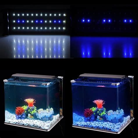 Led Lights Vs Fluorescent Lights For Aquarium